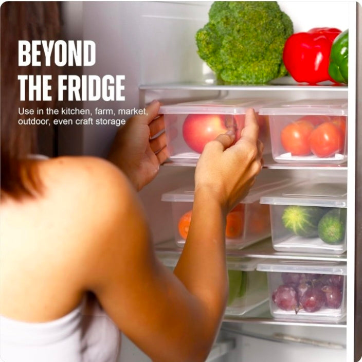 Fridge Organiser Storage Boxes with Removable Drain Plate for Fruits, Vegetables Fresher, 1500ml(Pack of 6)